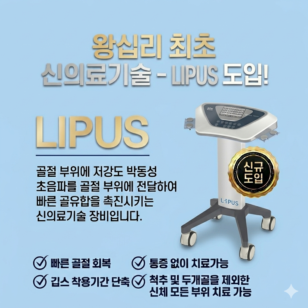 골절촉진치료기 상세설명